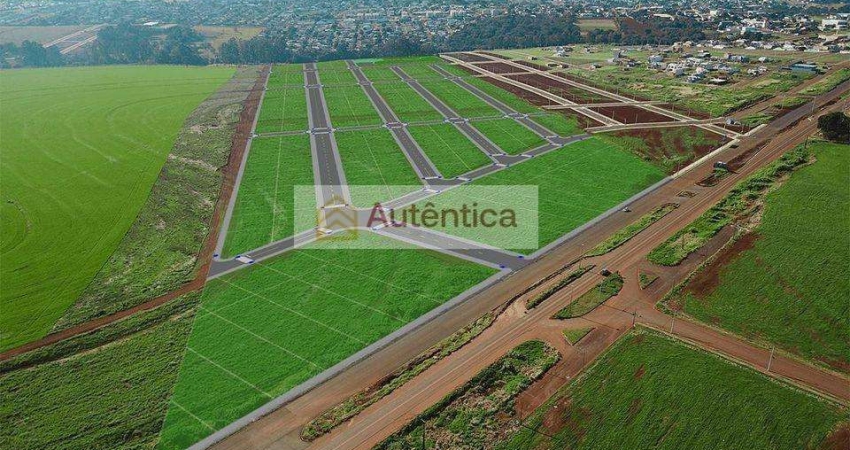 Terreno à venda na Avenida Barão do Rio Branco, Brazmadeira, Cascavel