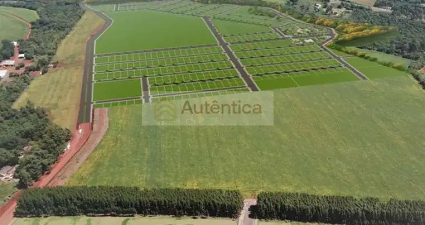 Terreno à venda na Avenida Guaíra, Recanto Tropical, Cascavel