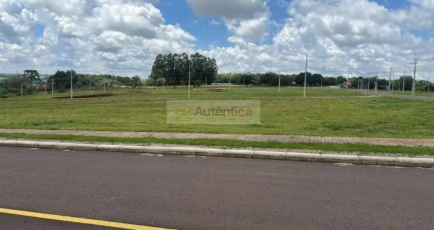 Terreno à venda na Rua Isa Mulinari de Moraes, 298, Universitário, Cascavel