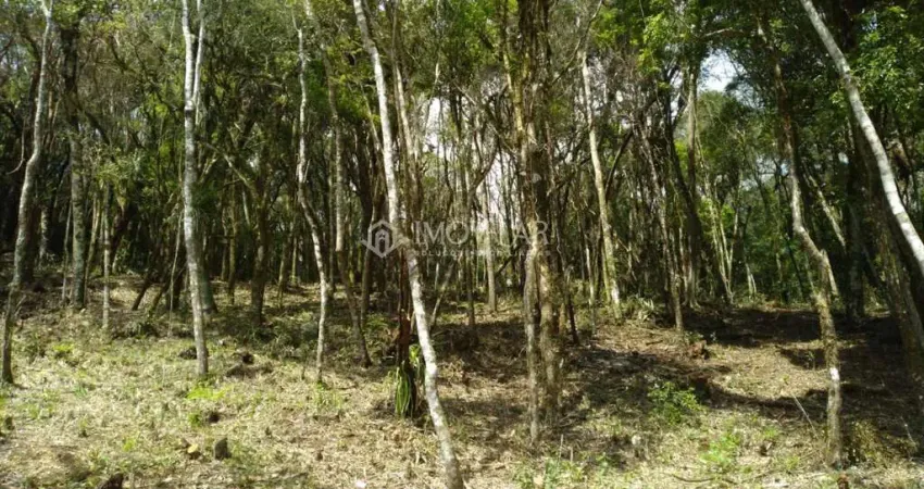 Terreno Condomínio Rural para Venda em Rancho Queimado, Centro