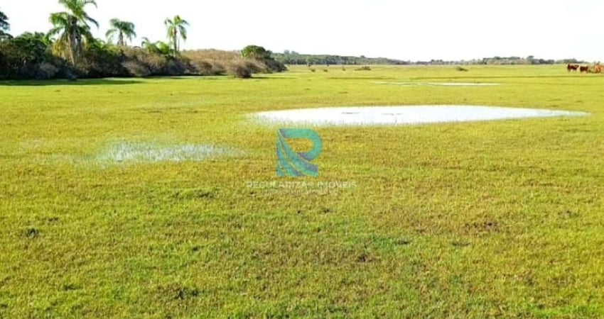 Fazenda com 270 hectares em Tavares-Rs, com aptidão para pecuária
