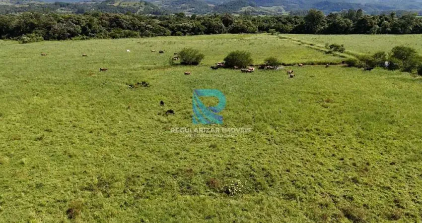 Fazenda 218 hectares em Santo Antônio Da Patrulha-Rs