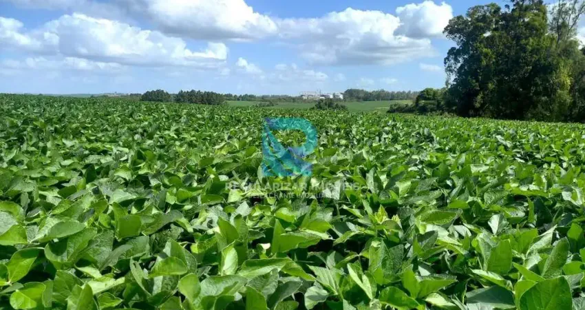 Fazenda com 150 hectares, otima produtividade!