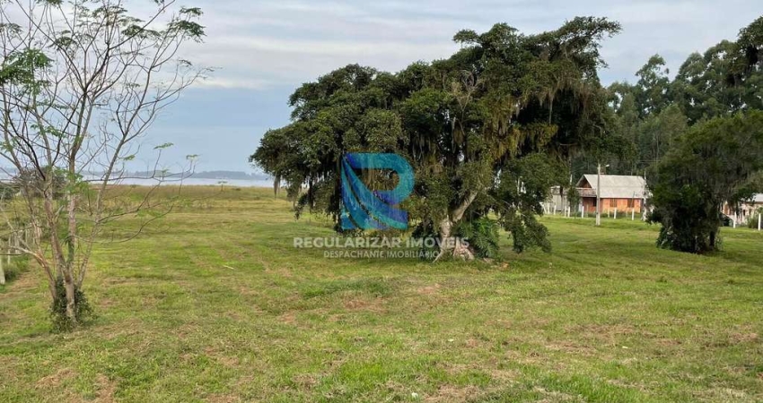 Fazenda à venda na Vila Conceição, São João do Sul 
