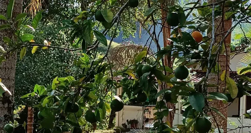 Chácara / sítio com 4 quartos à venda na Zona Rural, Piranga 
