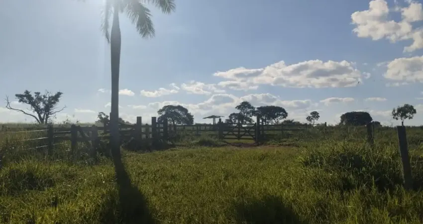 Fazenda à venda na Praça da Estacão, Zona Rural, Bocaiúva