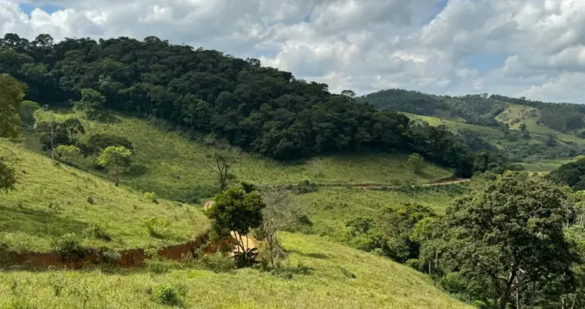 Fazenda à venda na Praça Aristides de Araújo Teixeira, Zona Rural, Santana dos Montes