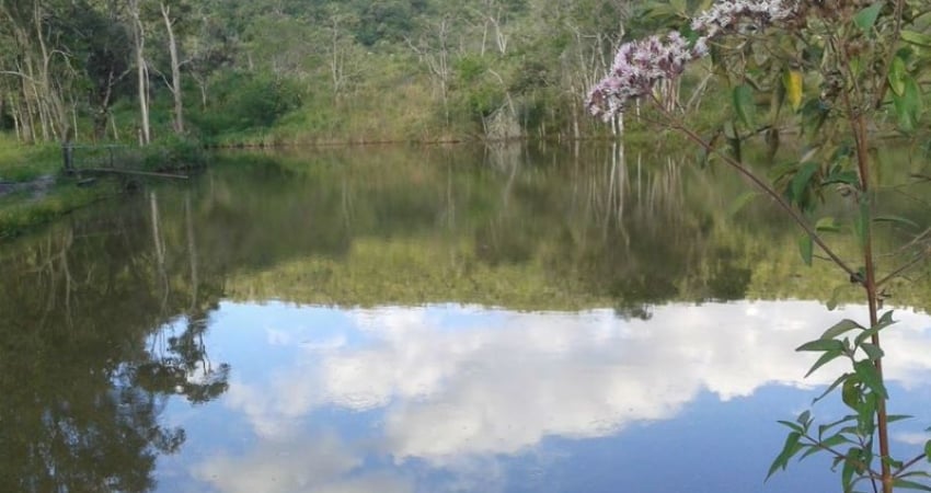 Vende-se uma fazenda em Ouro Branco/MG para preservação.