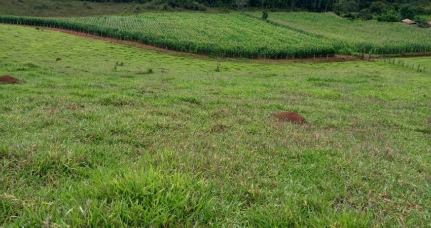 Fazenda à venda na Praça José da Costa Carvalho, Zona Rural, Itaverava