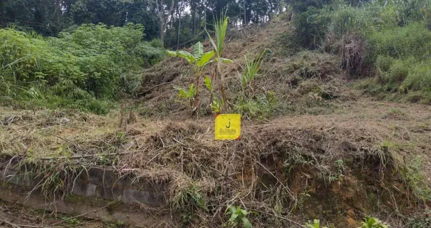 Terreno à venda, 360 m² por R$ 260.000,00 - São Pedro - Juiz de Fora/MG