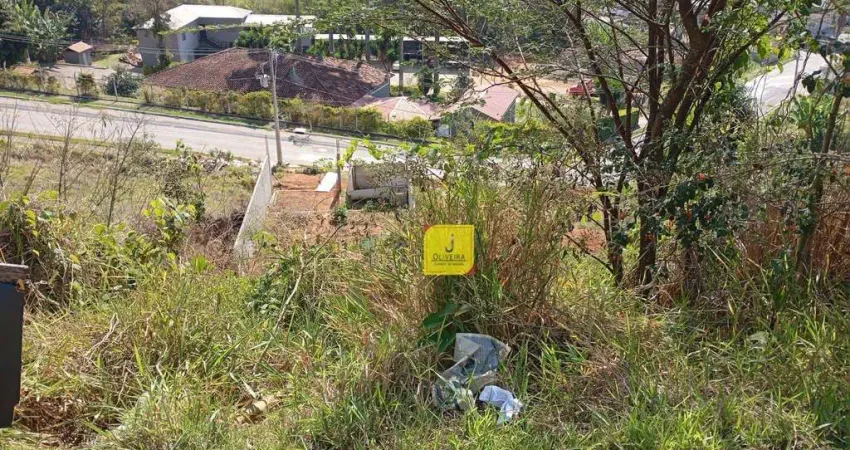 Terreno à venda, 250 m² por R$ 100.000,00 - Residencial Santa Lola - Juiz de Fora/MG