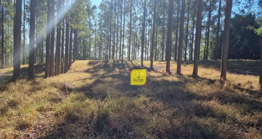 Excelente sítio, com aproximadamente 25.000m², dentro do Condomínio Triquedas, à 5 Kms antes de Coronel Pacheco.