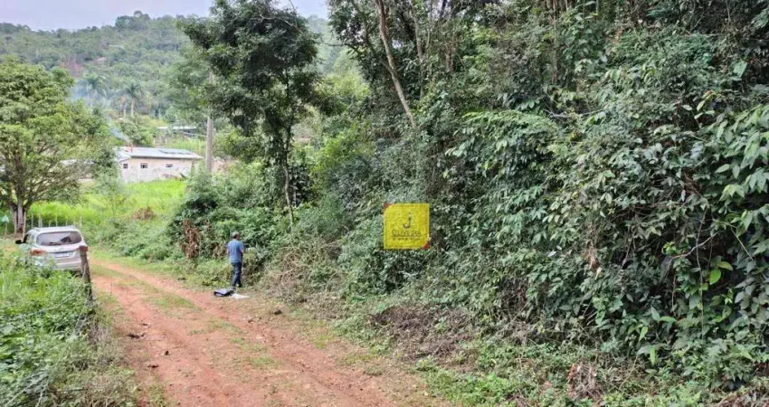 Terreno à venda, 3642 m² por R$ 100.000 - Humaitá - Juiz de Fora/MG.