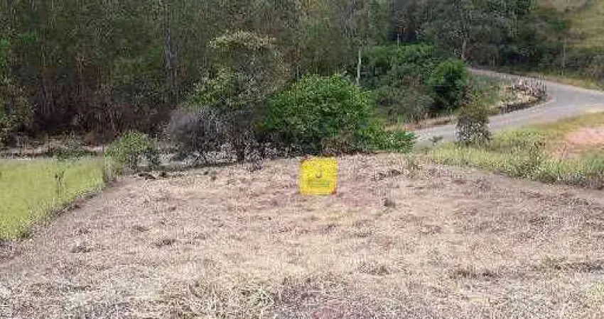 Terreno à venda, 1160 m² por r$ 40.000,00 - paula lima - juiz de fora/mg