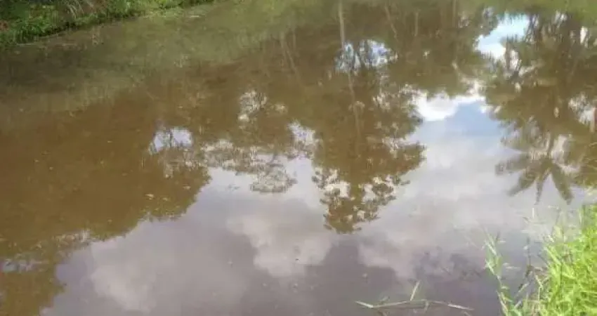 Excelente terreno, totalmente plano, com açude e córrego de água, no centro de Goianá.