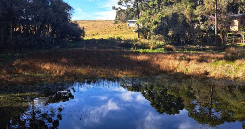 Chácara / sítio com 2 quartos à venda na Rua São José, Zona Rural, Cambará do Sul