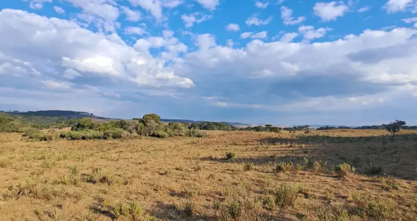 Chácara / sítio à venda na Rua São José, Zona Rural, Cambará do Sul