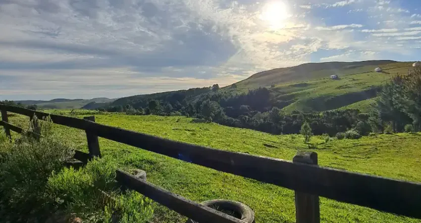 Chácara / sítio com 1 quarto à venda na Rua São José, Zona Rural, Cambará do Sul