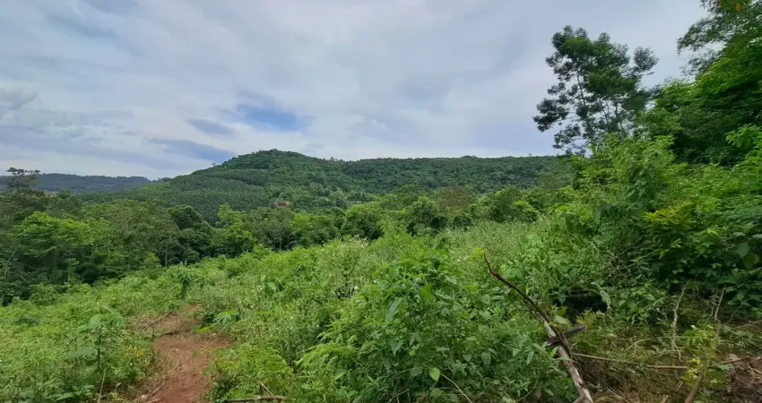 Chácara / sítio à venda na Vila Olinda, Nova Petrópolis