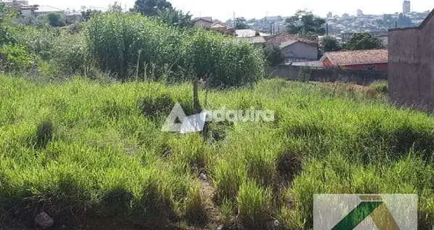 Terreno à venda na Rua João Schmidt Filho, Contorno, Ponta Grossa