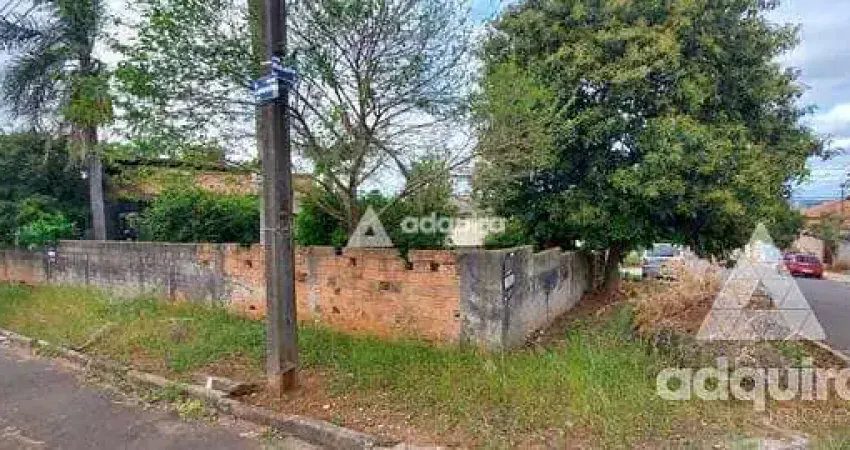 Terreno à venda 1 Quarto, 1 Vaga, 250M², Oficinas, Ponta Grossa - PR