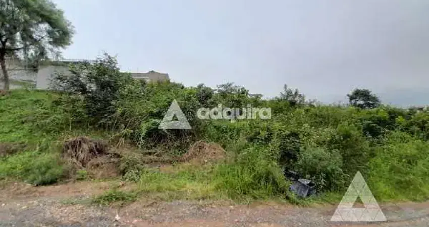 Terreno à venda na Rua Olavo Bilac, Uvaranas, Ponta Grossa