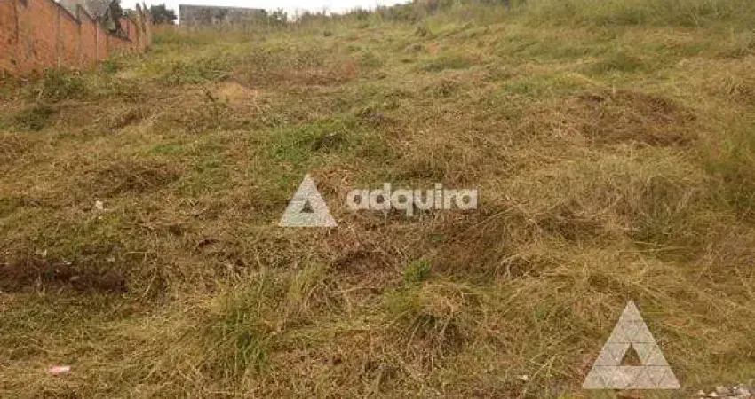 Terreno à venda na Rua Dario Veloso, Uvaranas, Ponta Grossa
