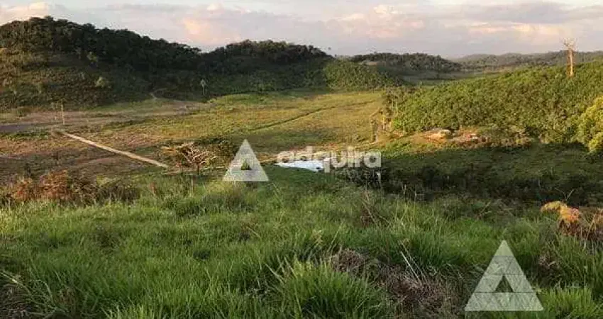 Chácara / sítio com 4 quartos à venda na Rodovia Prefeito Casimiro Teixeira - KM 31.4, Zona Rural, Iguape