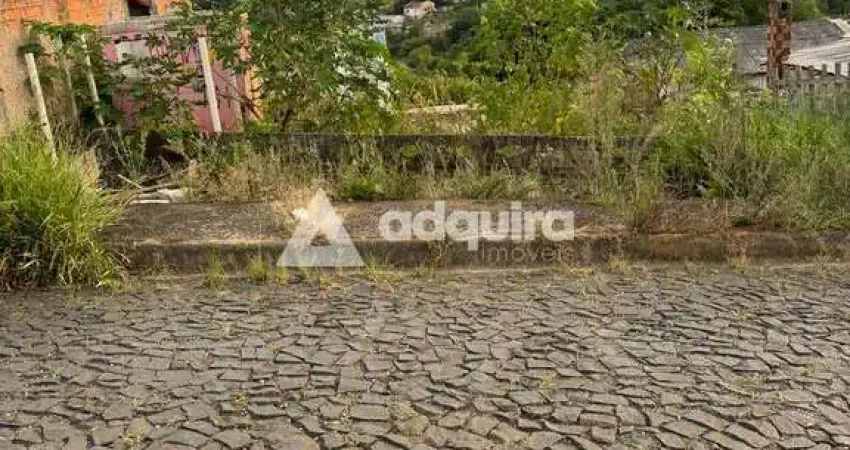 Terreno à venda, Uvaranas, Ponta Grossa, PR