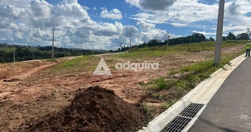 Terreno à venda, Jardim Carvalho, Jardim Alpha, Ponta Grossa, PR
