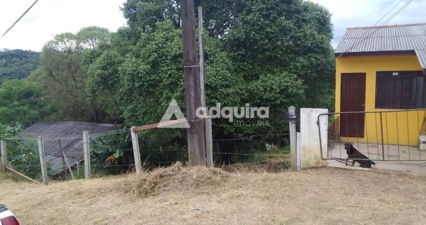 Terreno à venda na Rua Doutor José de Azevedo Macedo, Uvaranas, Ponta Grossa