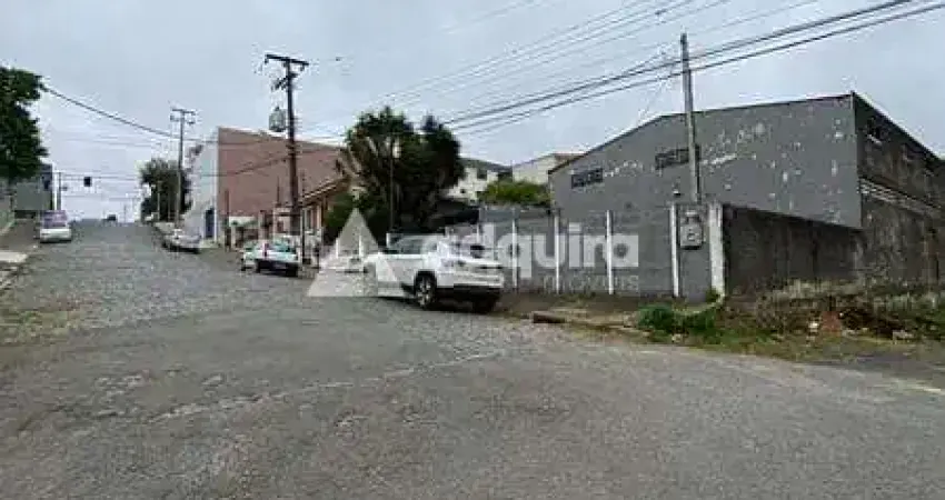 Barracão / Galpão / Depósito à venda na Rua Édipo Ferreira dos Santos Ribas, Nova Rússia, Ponta Grossa