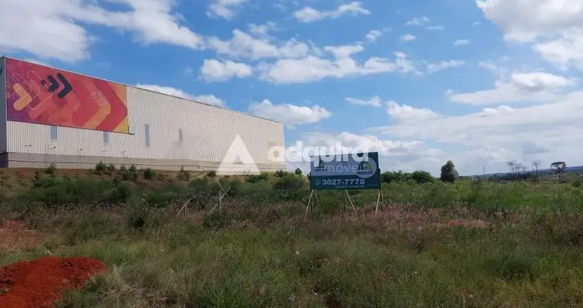 Terreno à venda na Rodovia 376, Cará-cará, Ponta Grossa