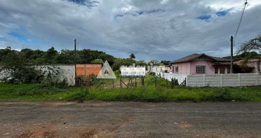 Terreno para Venda e Locação, Próximo ao Lago de Olarias 2 e Olinda Esporte Clube - Olarias, Ponta
