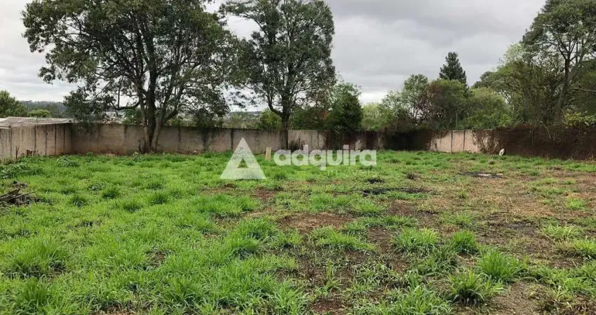 Terreno à venda na Rua José Koteski, Cará-cará, Ponta Grossa