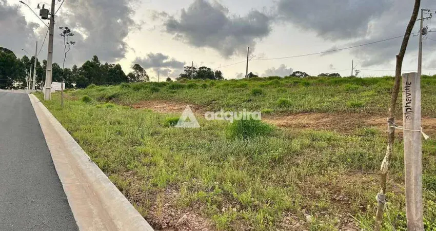 Terreno em condomínio fechado à venda na Rua Moserote, Jardim Carvalho, Ponta Grossa