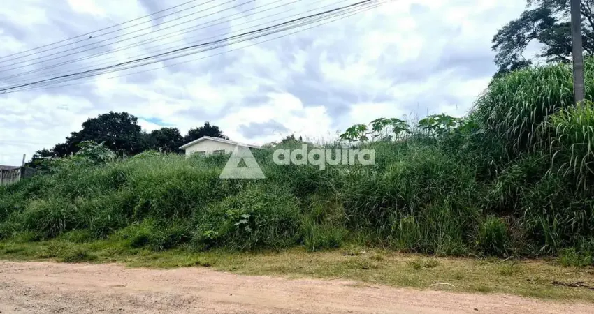 Terreno próximo à Rua Londrina à venda, Nova Rússia, Ponta Grossa, PR