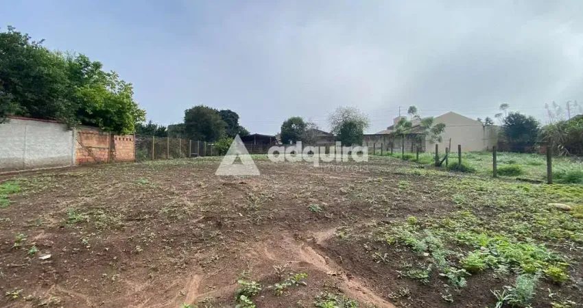 Terreno à venda, Colônia Dona Luíza, Ponta Grossa, PR