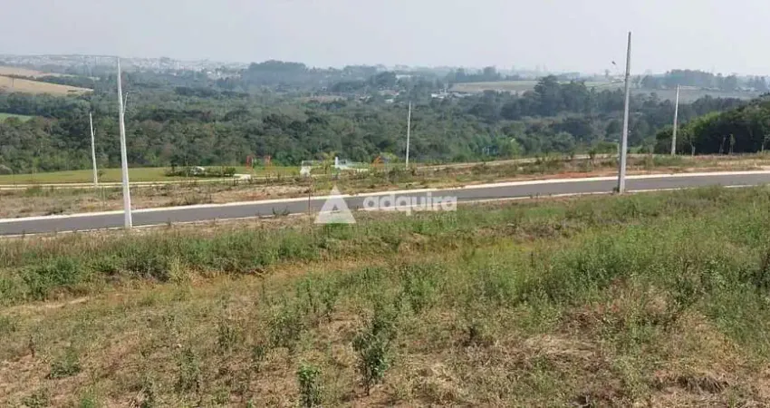 Terreno à venda, Jardim Alpha, Jardim Carvalho, Ponta Grossa, PR
