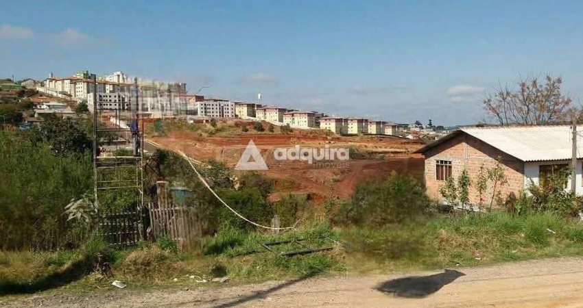 Terreno à venda na Rua Tobias Moscoso, Ronda, Ponta Grossa