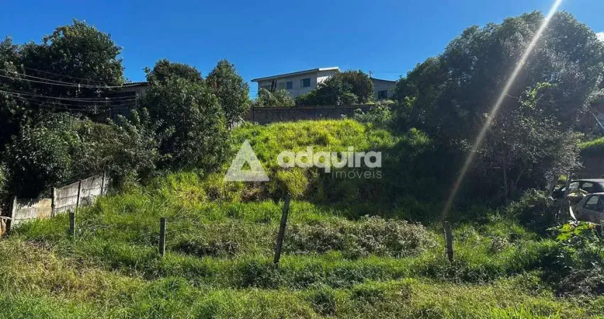 Terreno à venda, contorno - parque auto estrada - 525m² de área (15m x 35m), ponta grossa, pr