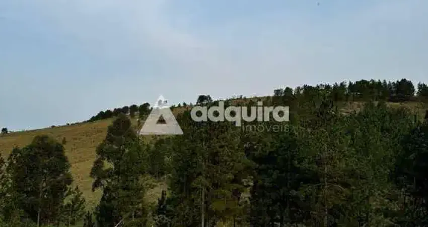 Terreno à venda na Rua Jacob Kuff, Zona Rural, Ponta Grossa