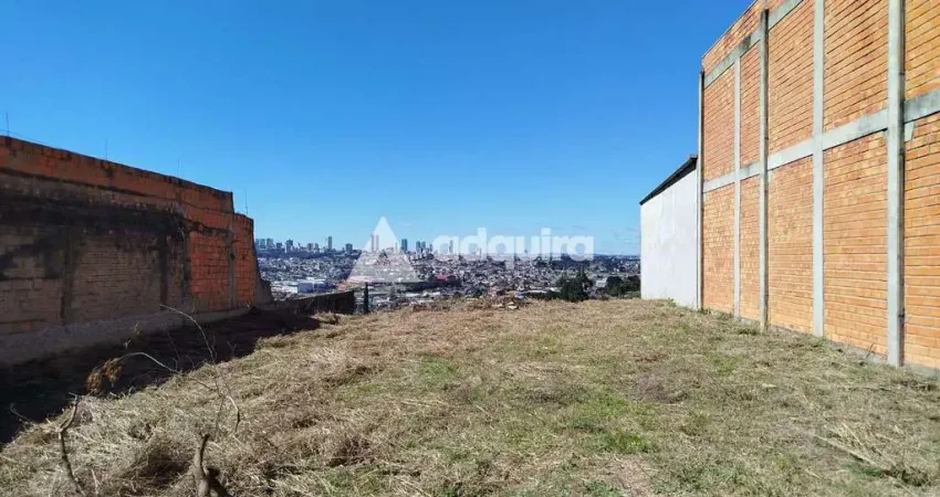 Terreno à venda na vila raquel, com 528 m² de área total (12 metros de frente e 44 metros de lado),