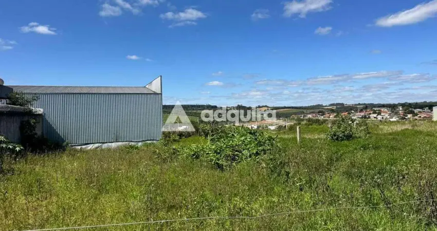 Terreno à venda na Avenida dos Pioneiros, Centro, Carambeí
