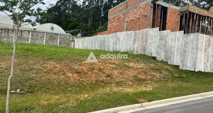 Terreno em condomínio fechado à venda na Avenida Anita Garibaldi, Orfãs, Ponta Grossa