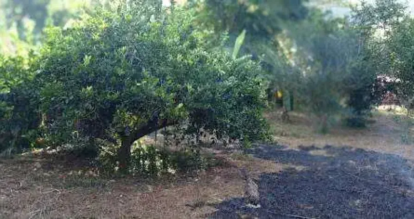 Chácara / sítio com 2 quartos à venda na Fazenda Horto Baratinha, Antônio Dias 