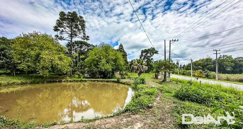 Terreno amplo c/ 8.906m2 - Avenida Principal de Campo do Tenente (Miguel Komarchewski)- 78 metros de testada.