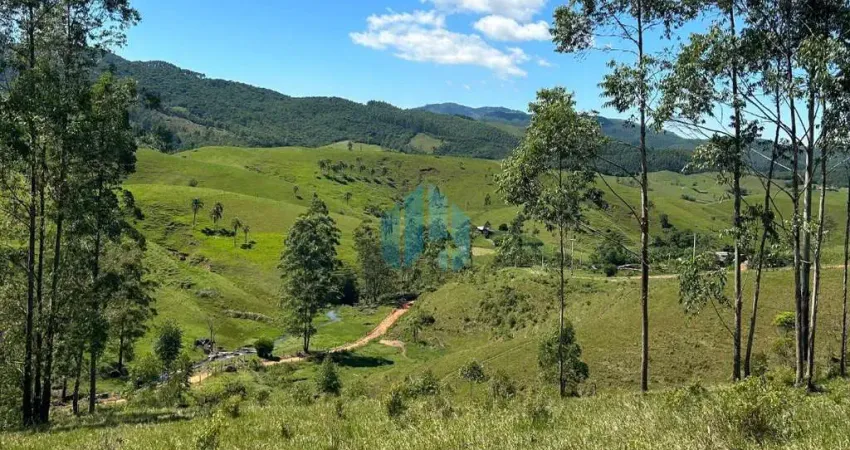 Amplo terreno de 3,09 hectares em área rural, aratingaúba | imaruí - sc