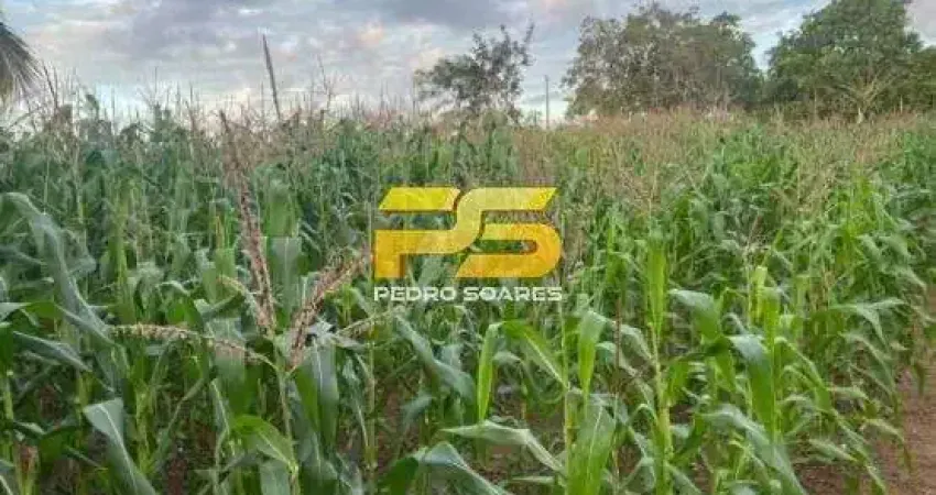 Fazenda com 2 salas à venda no Centro, Bananeiras