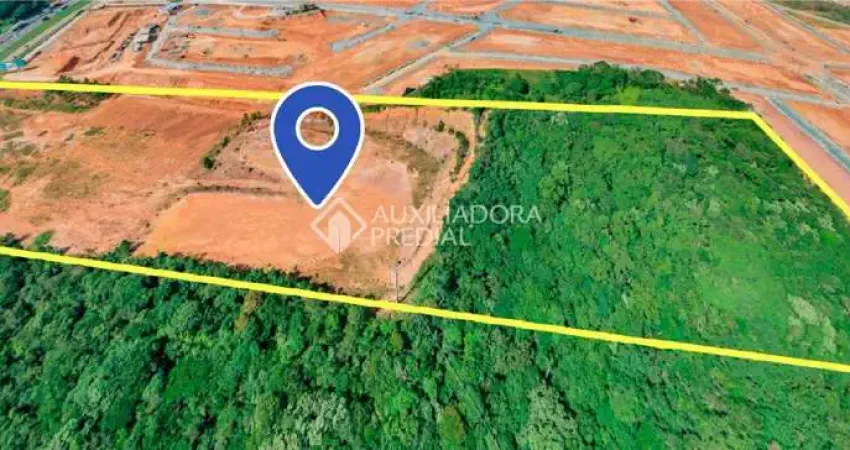 Terreno à venda na Rua Marginal Oeste, 1, Monte Alegre, Camboriú